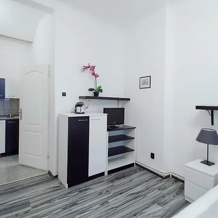 Apartmán Modern Skolska 20 *