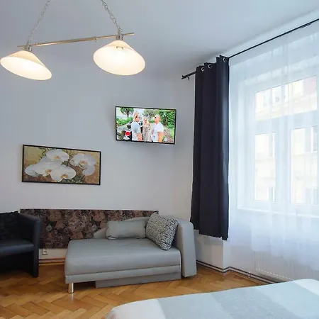 Apartmán Modern Skolska 20 *